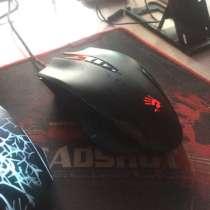 Мыш Bloody, в Костроме