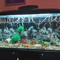 Аквариум, в Нижневартовске