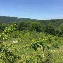 Продам з/у 81 сот в Сочи, в Сочи