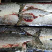 Рыба и морепродукты, в Уфе