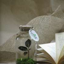 Флорариум - эксклюзивный подарок, в г.Гродно