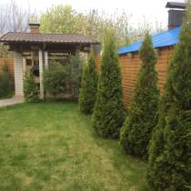 Продам ктотетж, в Саратове