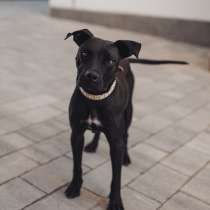 Гретта ищет дом, в г.Хельсинки