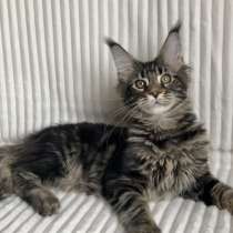 MCO, в Москве