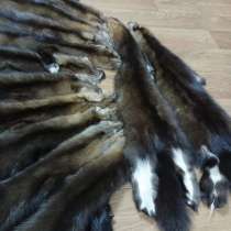 Шкуры соболя, в Перми