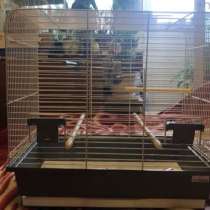 Клетка для птиц, в Чехове