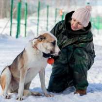 Возьми Стива домой, в Москве