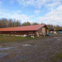 Продаю ферму на 73 гектарах д. Агафонка Александровский р-н, в Сергиевом Посаде