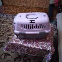 Переноска для кошки, в Москве