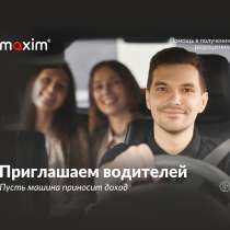 Водитель легкового автомобиля, в Пензе