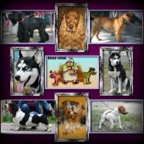 Предлагаем для вязки, в г.Сумы