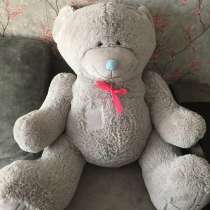 Мишка Тедди, в Ульяновске