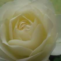 Simanadw, 57 лет, хочет познакомиться – Ищу надёжного, доброго 50-59 из НРВ, Германия, в г.Детмольд