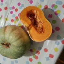 Тыква, в Томске