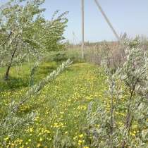 Дача 72 м² на участке 12 сот, в Тольятти