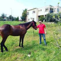 Ищу женщину, в г.Ma`agan Mikha'el