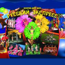 Детские праздники. Ростовые куклы. Кукольные спектакли, в Краснодаре