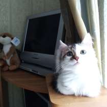 Нежное создание, в Москве