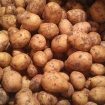 Продукты питания. Картофель, морковь, в г.Павлодар