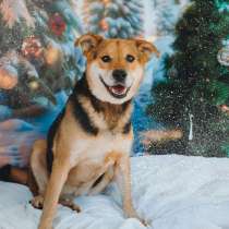 Толстушка ждёт родителей!, в Москве