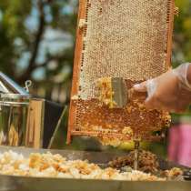 Забрус пчелиный, в Тарусе