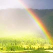 Оборудование или Обработка от вирусов,бактерий плесени запах, в Челябинске