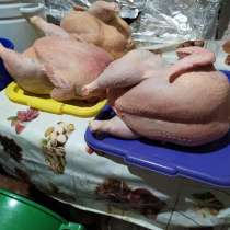 Домашние курочки, в Алуште