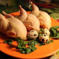 Перепелиное мясо-тушки, в Санкт-Петербурге