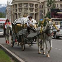 Прокат сказочной кареты, в г.Алматы
