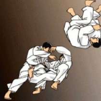 Дзюдо, в г.Баку