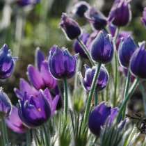 Тур в Аркаим, в Екатеринбурге