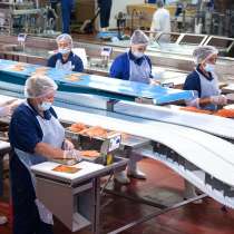 Personal în cadrul uzinei de prelucrare a peștelui. Polonia, в г.Кишинёв