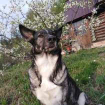 Продам 2 смежных садовых участка, в Екатеринбурге