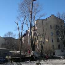 Аренда автовышки для обрезки и валки деревьев (Выборг), в Выборге