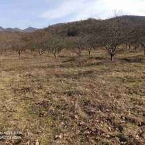 Продаётся земельный участок 150 соток в 20 км от Туапсе, в Туапсе