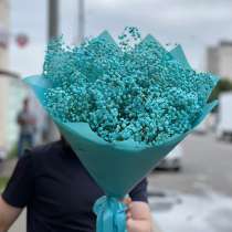 Гипсофила, в Москве