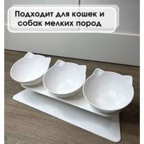 Миска для кошек, в Ленинск-Кузнецком