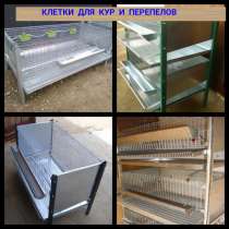 Клетки для кур и перепелов, в г.Минск