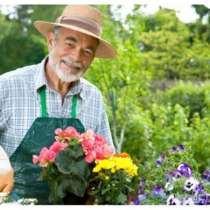 Садовник, высшее агрономическое образование Кандидат сельско, в г.Бишкек