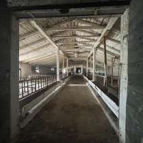 Здание фермы с пристройкой и бетонными выгулами, в г.Минск