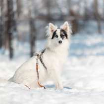Нежная, озорная Ронда в поисках семьи, в Москве