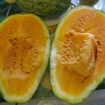 Семена арбузов и дынь +(Фицифолия и Огурдыня), в Москве