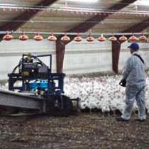 Різноробочий, в г.Брно