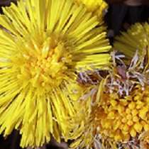 Математика (Алгебра, Геометрия), Физика - в Зеленограде, в Зеленограде