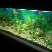 Продам аквариум, в г.Бендеры