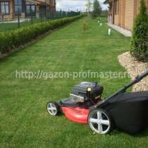 Газонная Трава Канада Грин! Canada Green Grass Seed!, в Москве