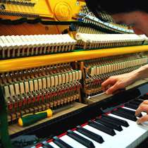 Настройка фортепиано, в Майкопе