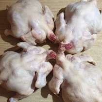 Мясо бройлера, в Юрге