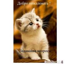 Работа дома!, в Владикавказе