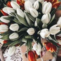 Тюльпаны, в Красноярске